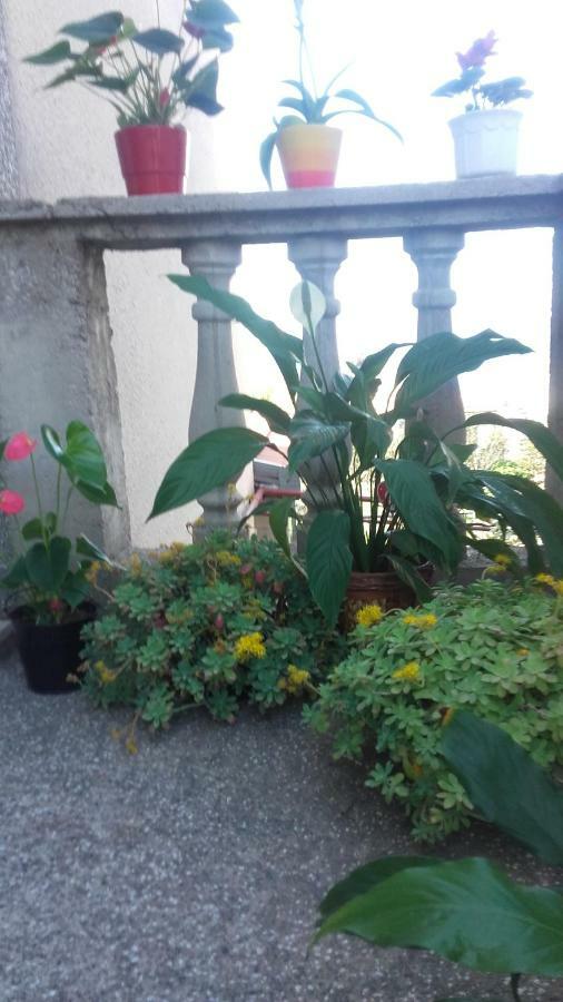 Apartment Bojana Novi Vinodolski Esterno foto
